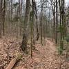 Portion of the Trillium Trail