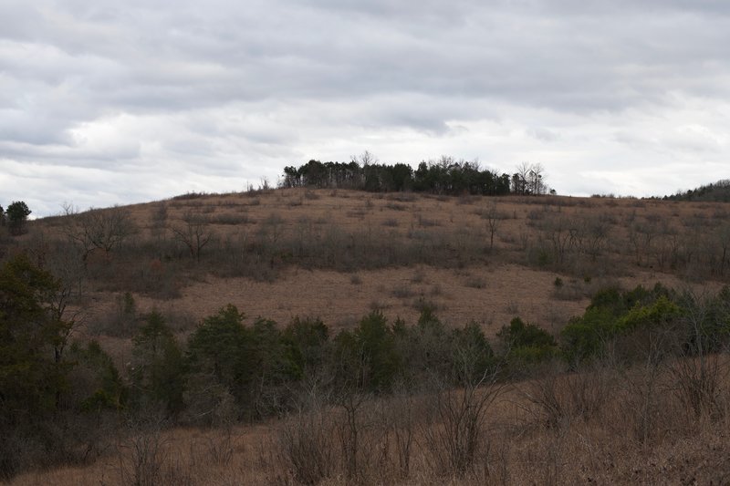 The trail starts to open up as it climbs up the hillside. Views of the surrounding hills open up before you.