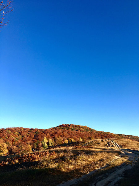 The highest peak for this hike (at about half the trail)