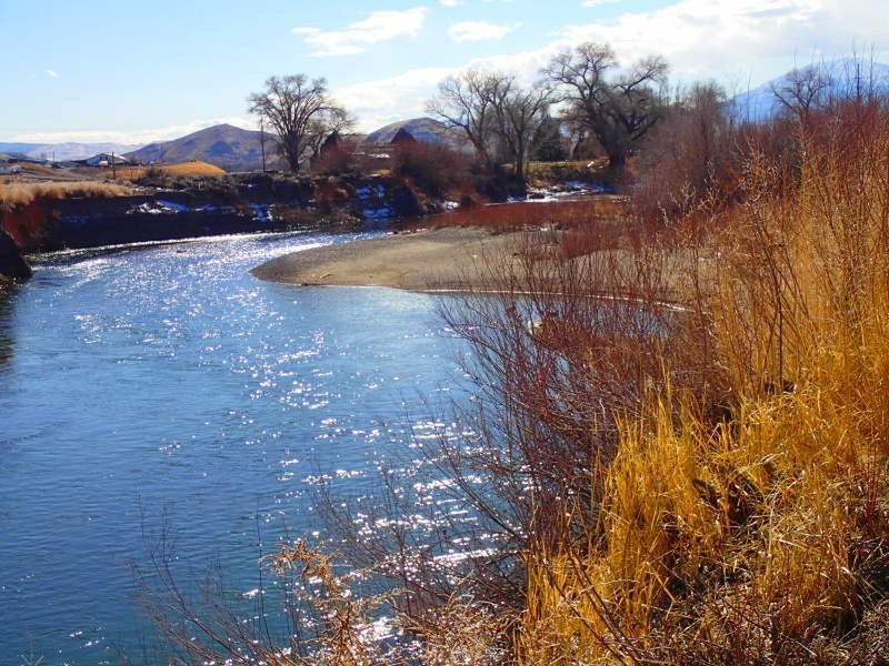 Truckee River in the winter