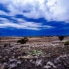 "Night hike" looking north up Yellowhouse Draw over area of controlled burn to thunderstorms 10 miles distant.