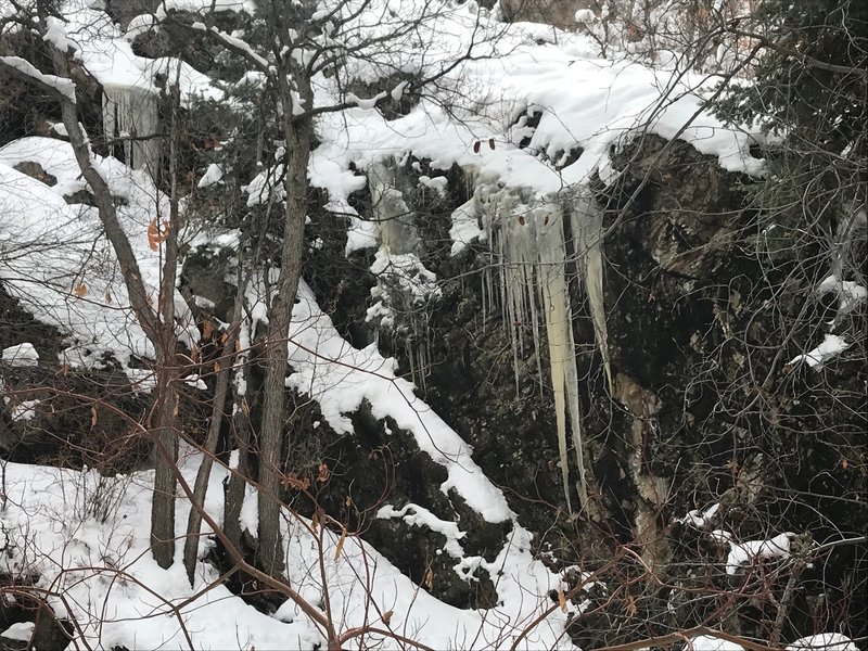 Large icicles forming near the Heughs Canyon Trail, January 2019