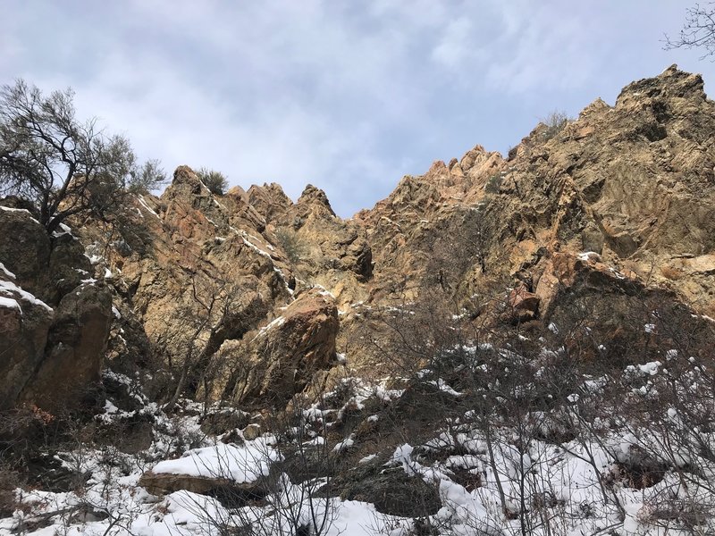 Looking up from the Heughs Canyon Trail toward some of the rugged rock formations that occur along the trail.