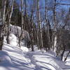 Snowshoe Trail D6 near D7 intersection.