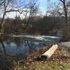 A creek seen from Yorklyn Bridge Trail.