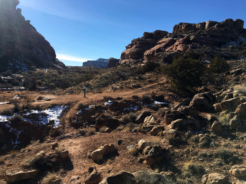 Mill Canyon Dinosaur Trail in winter.