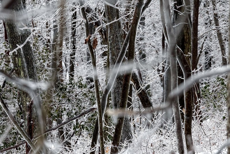 An ice storm helps White Trail in Mahlon Dickerson Reservation lived up to it's name.