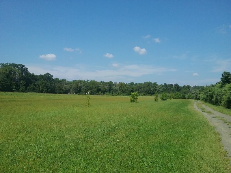 Scene from the LHT through Maidenhead Meadows.