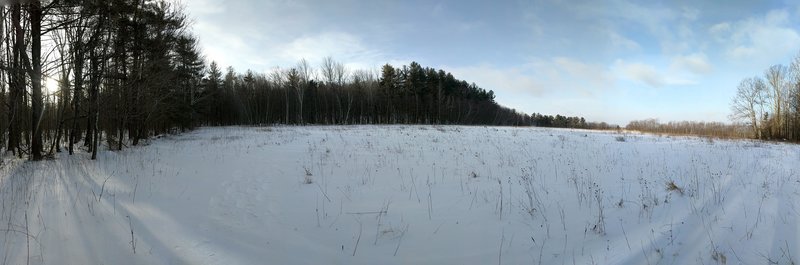 Questing Reservation meadow.