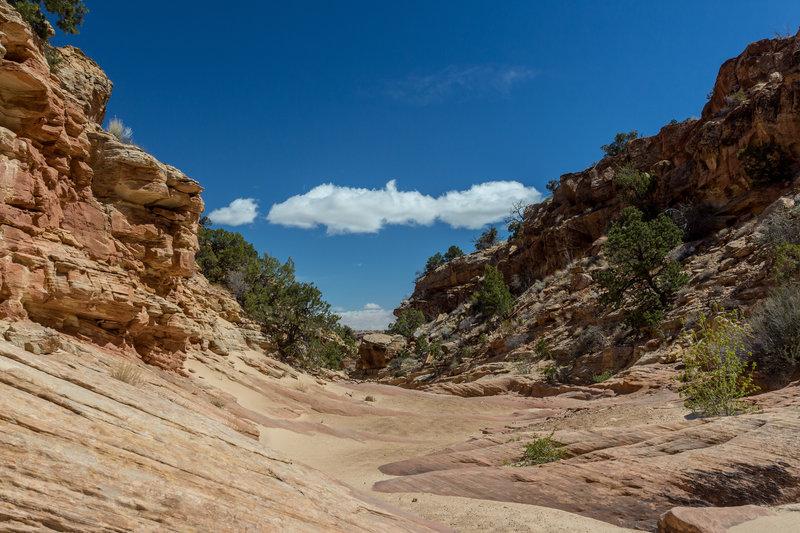 Easterly view towards the mouth of Burro Wash.