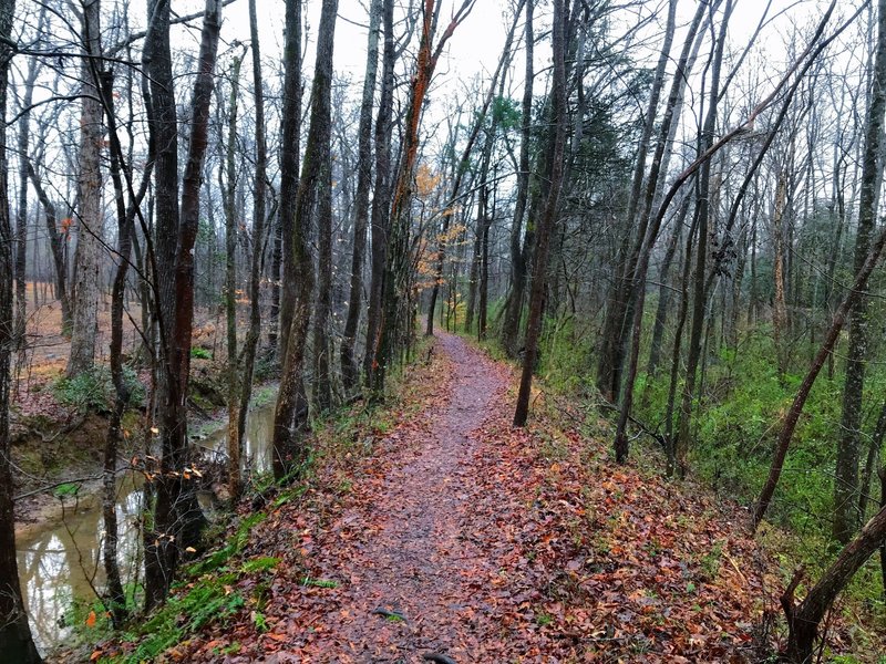 Raised trail on the river