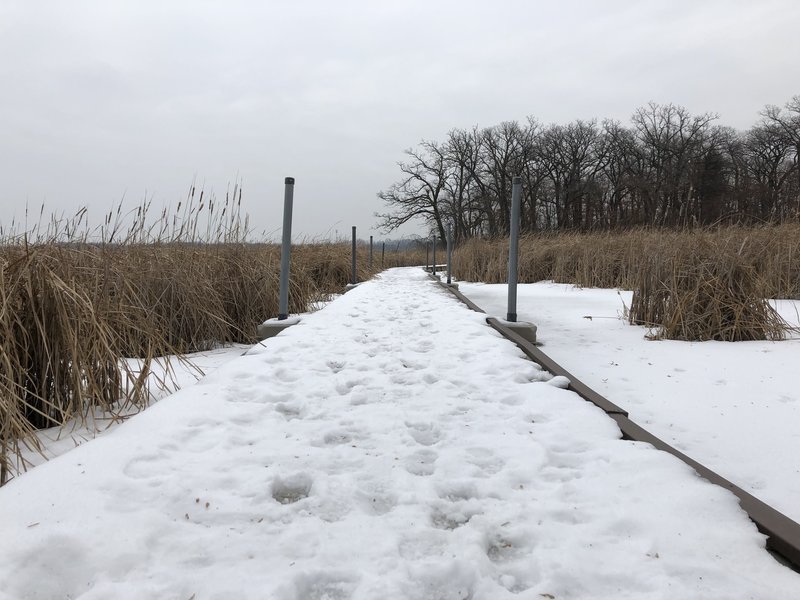 Floating boardwalks guide you through the marsh.