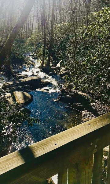 Bridge over Flat Creek at the Graybeard Trailhead