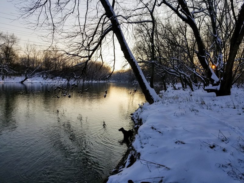 Sunset on the Miami River