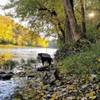 River in autumn