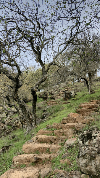 Stone stairs on hillside