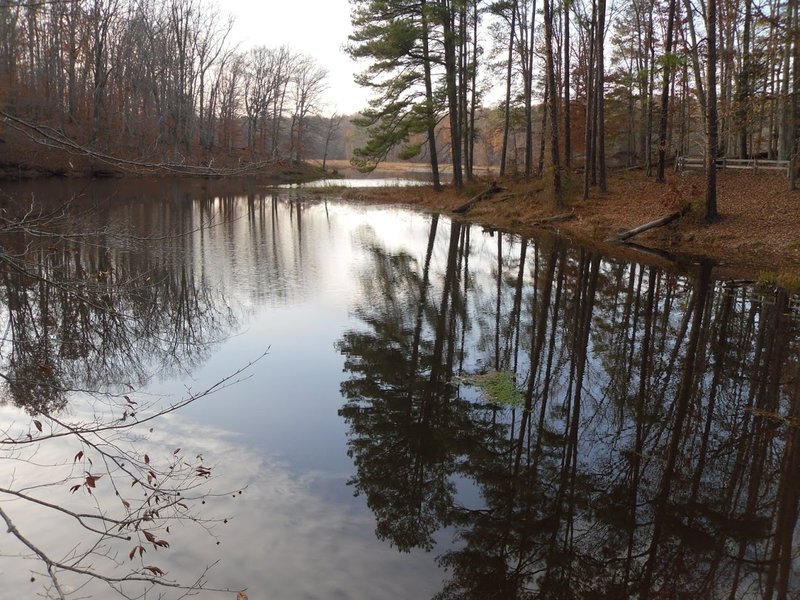 Beaver Lake