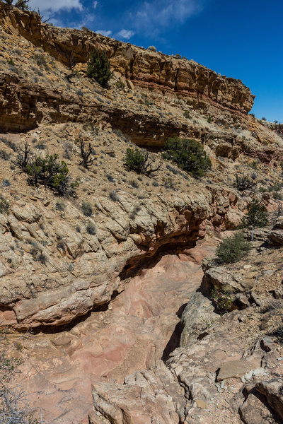 Cottonwood Wash starts out as a wide canyon, be sure to follow the path on the rim, not in the wash itself