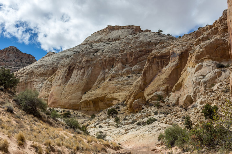 Past some of the harder slot sections, Cottonwood Wash opens up.