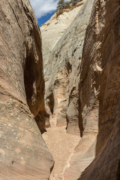 As you approach the end of the hike, the canyon is a bit wider making it easier to walk.