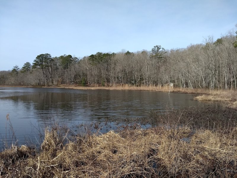 Beaver Lake Trail