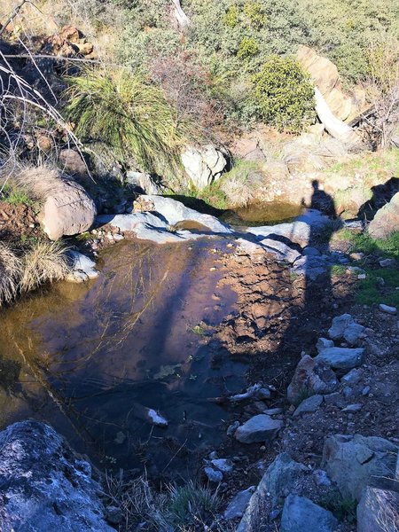 Water flowing from Quien Sabe Spring, Jan 2019. A spring box will be installed at this location.