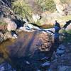 Water flowing from Quien Sabe Spring, Jan 2019. A spring box will be installed at this location.