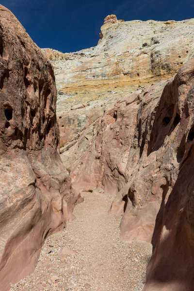 Bell Canyon and its Navajo Sandstone domes