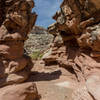 Layered sandstone in Little Wild Horse Canyon