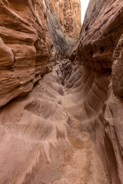 One of the prettiest sections in Wild Horse Canyon. You can clearly see a wave pattern on the rocks