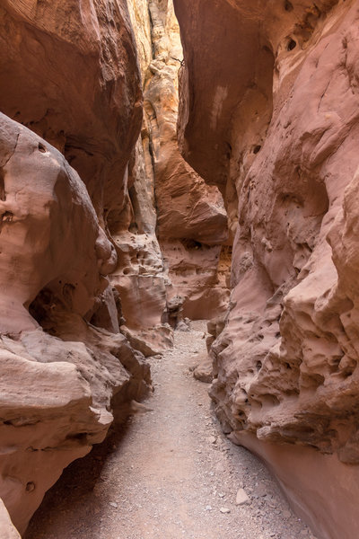 Little Wild Horse Canyon can feel almost like a cave