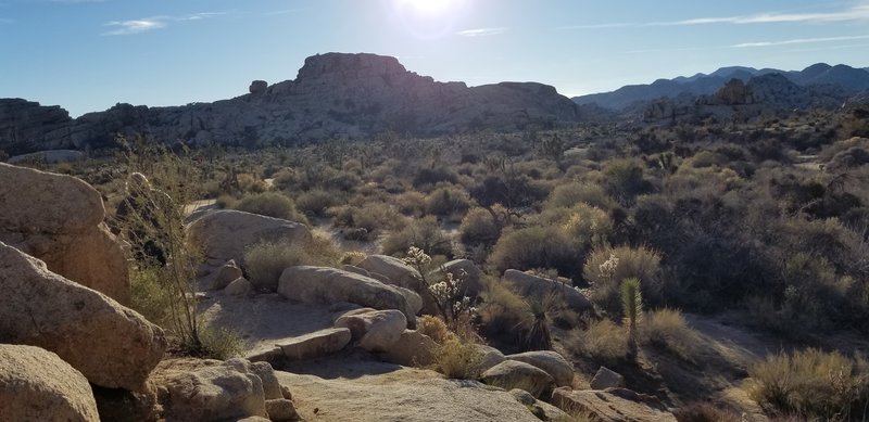 Person screen left following trail drops to valley floor, what a view! Boulders, brush and cactus a plenty oh my! This is trail counter-clockwise and start of W side leg after dam wall. About 315pm so facing W rocks are in shadow.