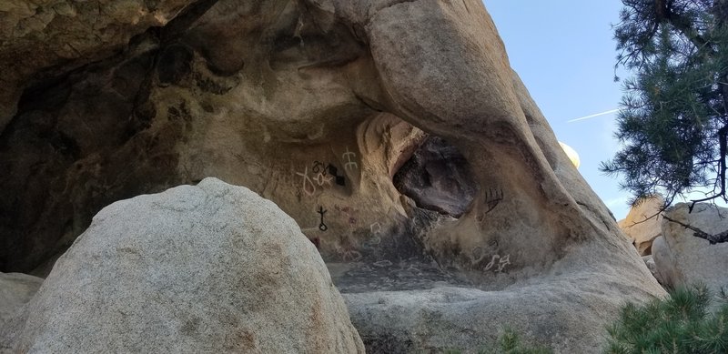 Petroglyphs on Barker Dam nature trail. Park has excellent signage; directional and info. You can easily see this formation 30-50ft off trail next to info sign. Trail is behind and to the left, and continues back to trailhead. Facing S @ 330pm.