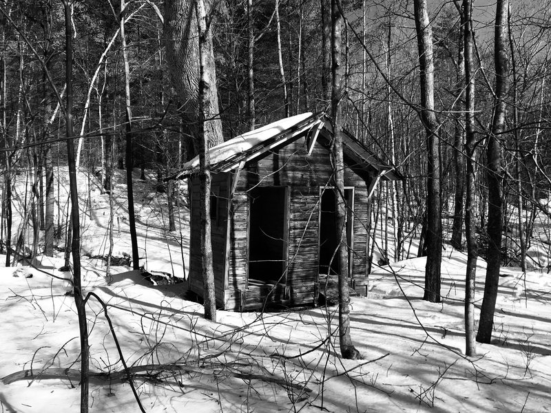 Old Privy off Hoosic Tunnel Loop Trail.