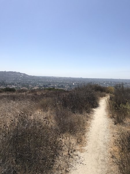 Coming down Quarry Loop.