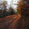 Lake Road covered in leaves in the waning light.