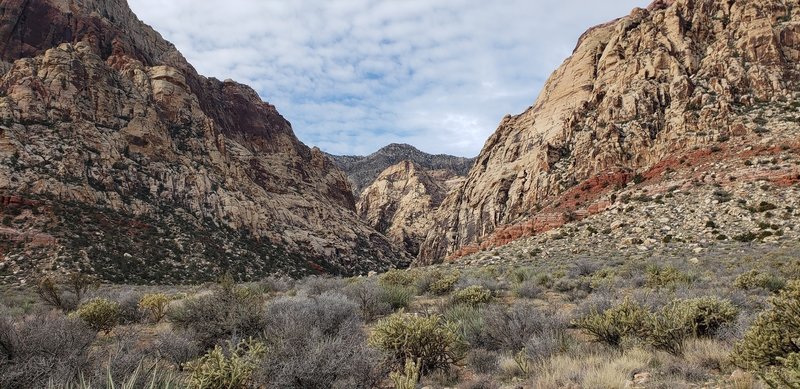 Looking into Oak Creek Canyon