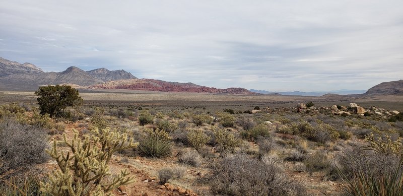 Along Knoll Trail you can look out to see Turtlehead Peak and Calico Tanks