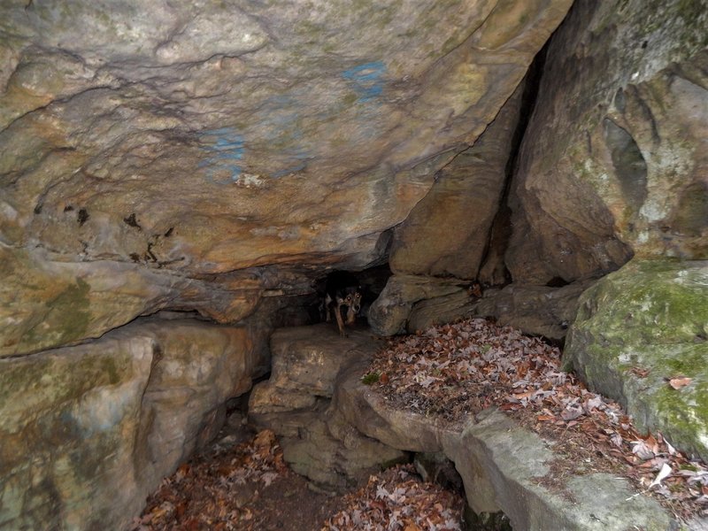 Cool small tunnel/cave you can crawl through