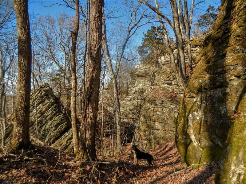 The trail just meanders through.