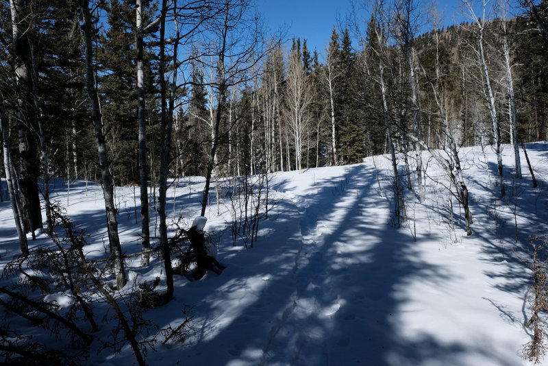 Snow shoeing up the Cross Creek Trail.