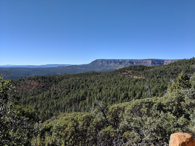 View of the rim across the valley formed by Tonto creek. (Note that this photo was taken from the trail, which has been rerouted from what is currently shown on the map.)