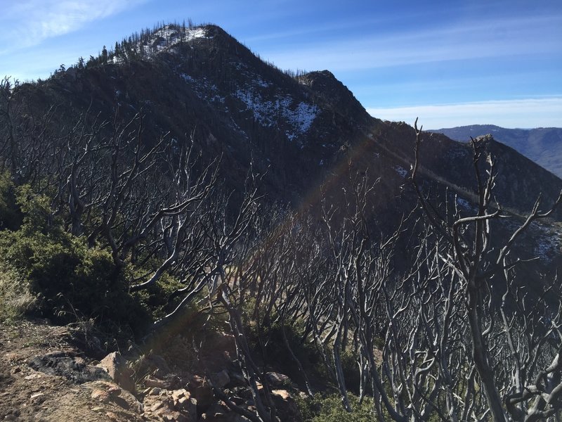 View of Spitler Peak from the PCT on the Desert Divide.
