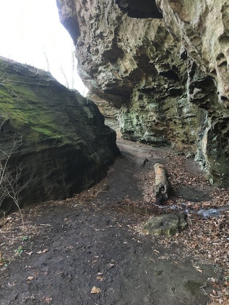 Under the bluffs at Trillium Trail.