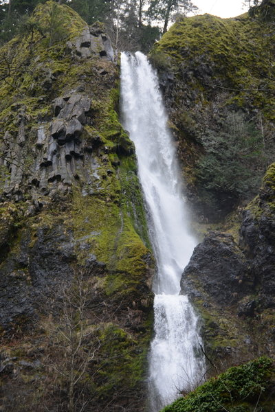 190 foot Starvation Creek Falls makes a great backdrop for the small picnic area that is easily accessed from the rest stop