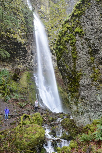 Cabin Creek Falls drops about 220 feet into a pool partially obscured by a fall block of basalt