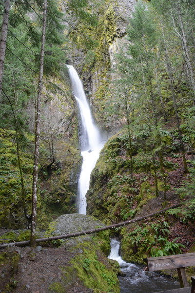 Hole in the Wall Falls was created in 1938 by blasting a tunnel through the rock to help prevent potential wash-outs of the Columbia River Highway