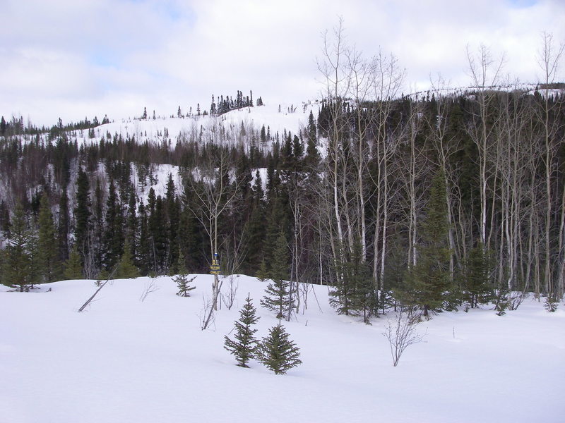 Snowshoe trail B1 just before the ravine with sign showing shortcut back to the chalet.