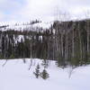 Snowshoe trail B1 just before the ravine with sign showing shortcut back to the chalet.