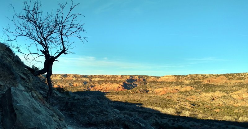 Canyon walls on the far side of the Prairie Dog Fork of the Red River are seen looking northeast from the CCC Trail on the northeast side of the ridge to Goodnight Peak.